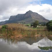 Vincent Palloti Wetlands